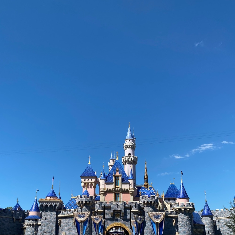 Meet your Posher, Sunny